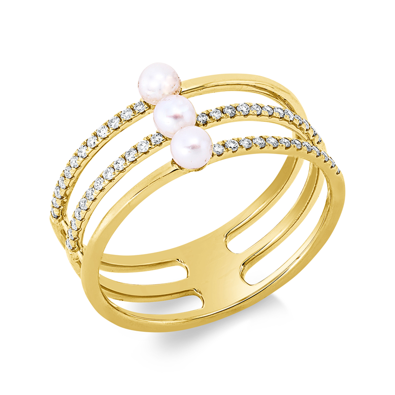 Ring 18 kt GG, 48 Brill. 0,17 ct, TW-si, 3 SW weiß 3 mm