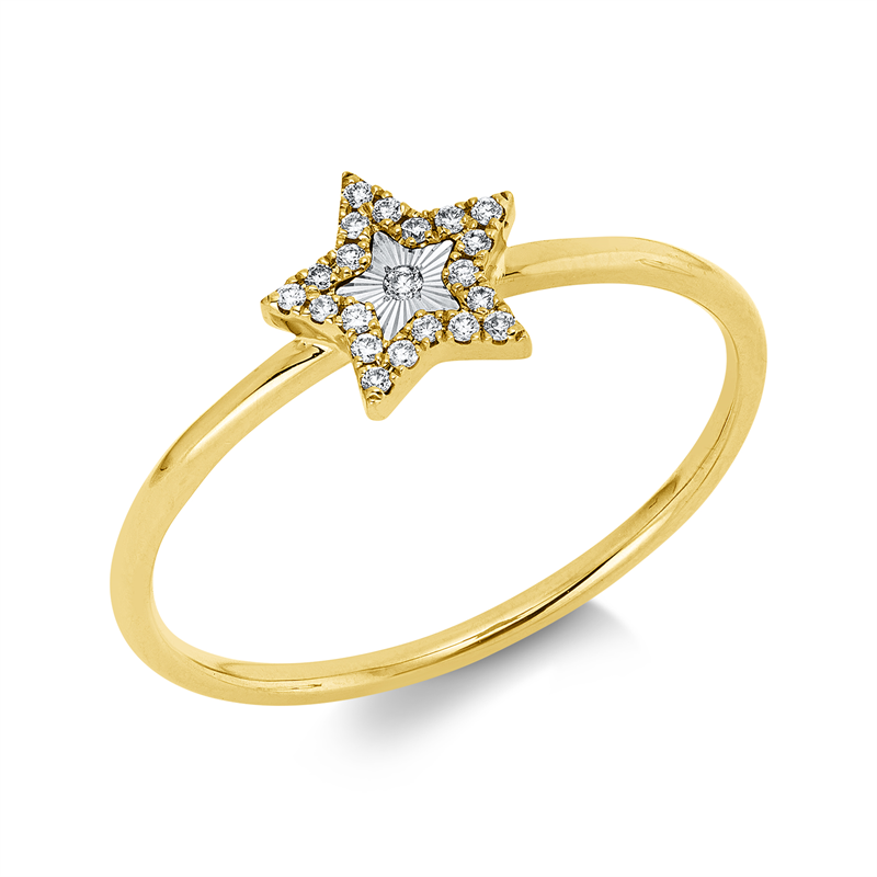Ring 18 kt GG+WG, 21 Brill. 0,06 ct, W-si