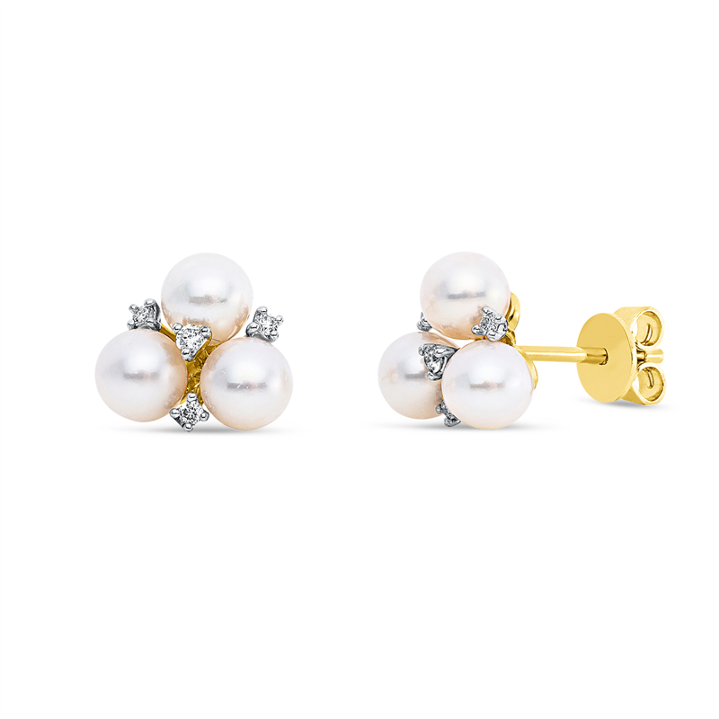 Ohrstecker 14 kt GG+WG, 8 Brill. 0,08 ct, W-si/pi, 6 SW weiß 4,8 mm