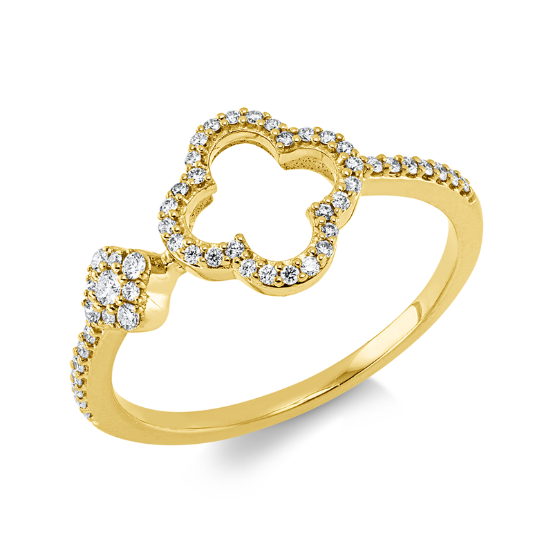 Ring 18 kt GG, 5 Brill. 0,05 ct, TW-si, 46 Brill. 0,13 ct, TW-si