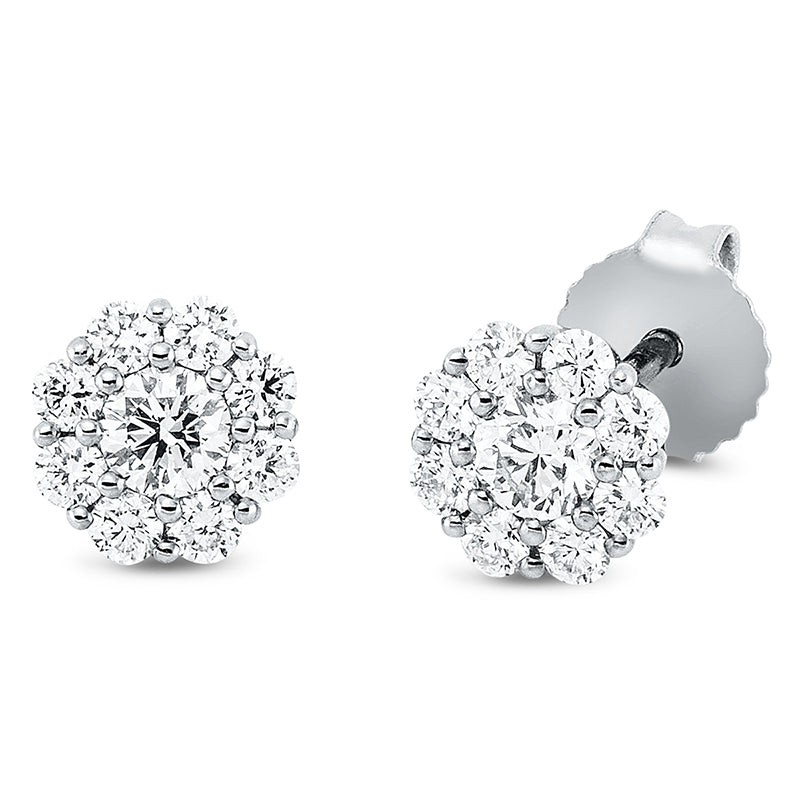 Ohrstecker 18 kt WG, 18 Brill. 0,50 ct, TW-vsi