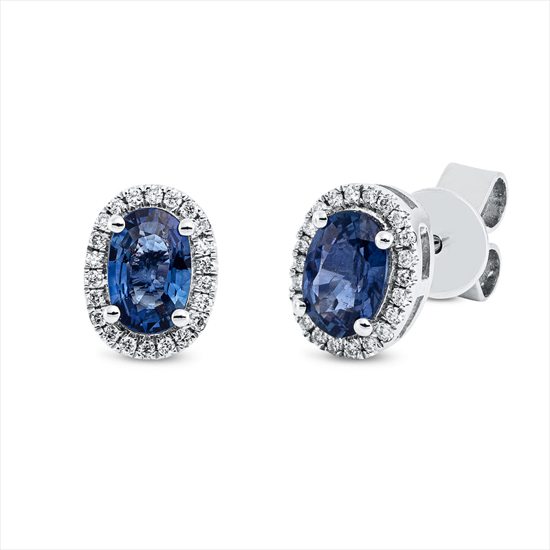 Ohrstecker 18 kt WG, 44 Brill. 0,12 ct, TW-si, 2 Saphire 1,22 ct blau