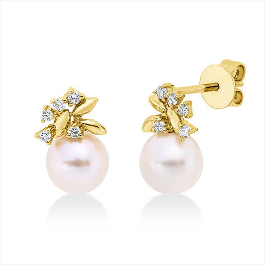 Ohrstecker 14 kt GG, 10 Brill. 0,11 ct, W-si/pi, 2 SW weiß 6,5 mm