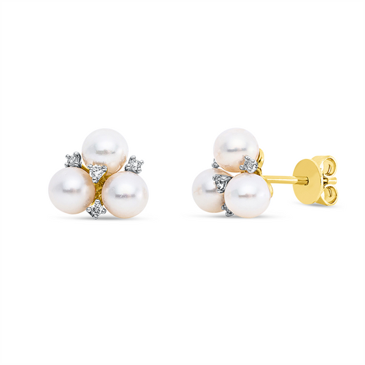 Ohrstecker 14 kt GG+WG, 8 Brill. 0,08 ct, W-si/pi, 6 SW weiß 4,8 mm
