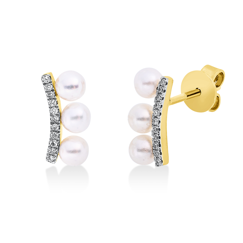 Ohrstecker 14 kt GG+WG, 22 Brill. 0,07 ct, W-si/pi, 6 SW weiß 3,5 mm